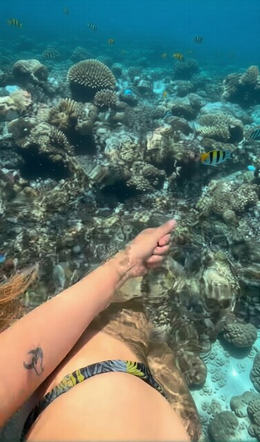 Üyenin fotoğrafı 1